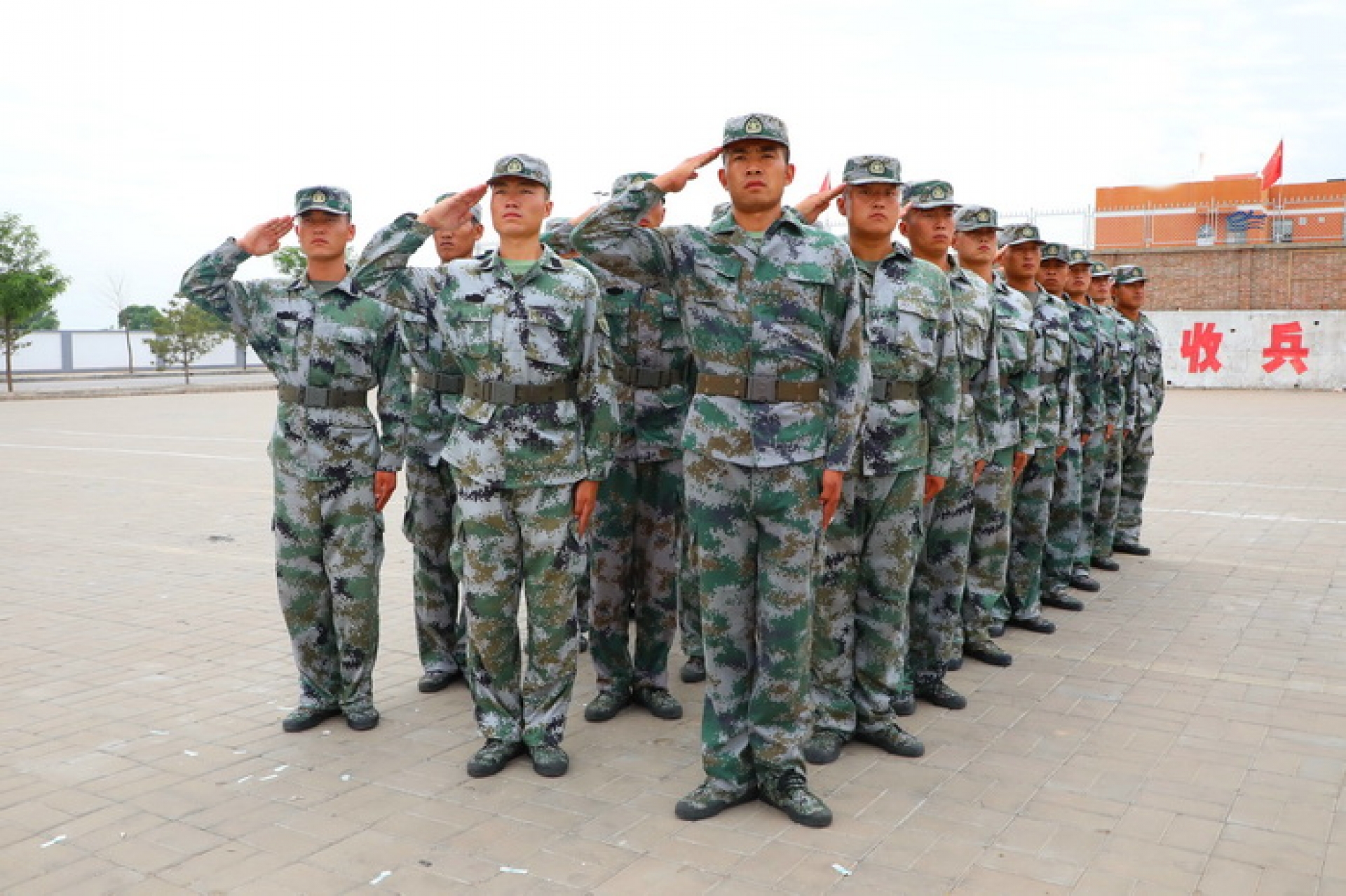 开云体育网址最新